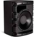 Bose DM12SE DesignMax Coaxial Surface-Mount Loudspeaker (Black) - 12in