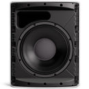 Bose DM12SE DesignMax Coaxial Surface-Mount Loudspeaker (White) - 12in