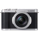 Appareil photo numérique Panasonic LUMIX L10 (argent)