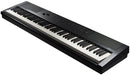 Kurzweil KA E1 Portable Digital Piano (Black) - 88 Keys