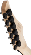 Guitare électrique Schecter C-6 PRO (Aurora Burst)