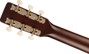 Gretsch Guitars JIM DANDY PARLOR Acoustic Guitar (Rex Burst)