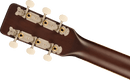 Guitare acoustique Gretsch Guitars JIM DANDY DREADNOUGHT (Rex Burst)