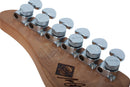 Guitare électrique Schecter NICK JOHNSTON SIGNATURE TRADITIONAL HSS (Atomic Frost)