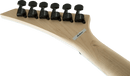 Guitare électrique Jackson Guitars série JS RHOADS JS32T (blanche avec chanfreins noirs)