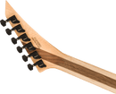 Guitare électrique Jackson Guitars PRO PLUS SERIES RHOADS RR24 (Miroir)