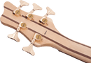 Basse électrique 5 cordes Jackson Guitars PRO SERIES SPECTRA SBP V (Transparent Cherry Burst)