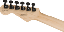 Guitare électrique Charvel Guitars PRO-MOD SAN DIMAS STYLE 1 HH FR M Jim Root Signature (noir satiné)