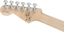 Charvel Guitars PRO-MOD SO-CAL PA28 Prashant Aswani Signature Electric Guitar (Inca Silver)