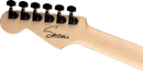 Guitare électrique Charvel Guitars PRO-MOD DK22 HH FR M Satchel Signature (Satin White Bengal)