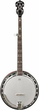 Washburn B16K-D Americana Series Resonator Banjo (Sunburst Gloss)