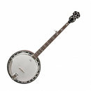 Washburn B16K-D Americana Series Resonator Banjo (Sunburst Gloss)
