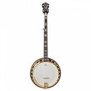 Banjo à résonateur Washburn B17K-D Série Americana (Tobacco Sunburst)