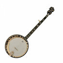 Banjo à résonateur Washburn B17K-D Série Americana (Tobacco Sunburst)