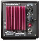 Moniteur de studio unique alimenté Avantone Pro AV-AMB (noir)