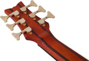 Schecter STILETTO STUDIO-6 FL Fretless 6-String Electric Bass Guitar (Honey Satin)