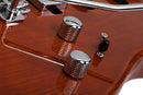 Guitare électrique Schecter TRADITIONAL VAN NUYS (Gloss Natural Ash)