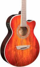 Washburn EA55G-A Festival Series Acoustic-Electric Guitar (Koa Burst)