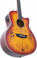 Guitare électro-acoustique Washburn DFBACEA Deep Forest Series (Amber Fade Gloss)