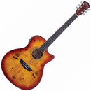 Guitare électro-acoustique Washburn DFBACEA Deep Forest Series (Amber Fade Gloss)