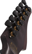 Schecter REAPER-6 ELITE Electric Guitar (Blood Burst)
