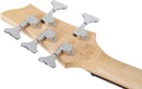 Schecter C-5 PLUS 5-String Electric Bass Guitar (Charcoal Burst)