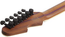 Guitare électrique Schecter AVENGER EXOTIC SPECIAL EDITION (Spalted Maple)