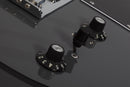Guitare électrique Schecter PT EX SPECIAL EDITION (Dorian Gray)