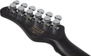 Guitare électrique Schecter PT EX SPECIAL EDITION (Dorian Gray)