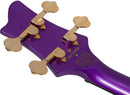 Schecter FREEZESICLE-4 Electric Bass Guitar (Freeze Purple)
