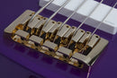 Schecter FREEZESICLE-5 5-String Electric Bass Guitar (Freeze Purple)