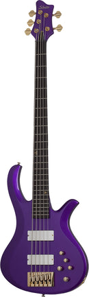 Schecter FREEZESICLE-5 5-String Electric Bass Guitar (Freeze Purple)