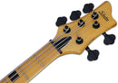 Schecter RIOT SESSION-5 5-String Electric Bass Guitar (Aged Natural Satin)