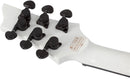 Guitare électrique Schecter C-1 INK BOMB SPECIAL EDITION (Ink Bomb)
