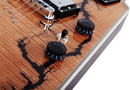 Guitare électrique Schecter V-1 ELECTRO-RESIN SPECIAL EDITION (Gloss Natural)