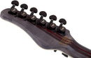 Schecter PR FR S SLS ELITE EVIL TWIN Electric Guitar (Satin Black)