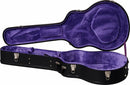 Guitare électro-acoustique pour gaucher ECPW200VSGHLH, réédition en palissandre d'avant-guerre (finition sunburst vintage)