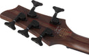 Guitare basse électrique 5 cordes Schecter CHARLES BERTHOUD CB-5 (See Thru Black Satin)