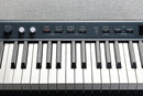 Kurzweil KA P1 Portable Digital Piano (Blue) - 88 Keys
