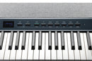 Kurzweil KA P1 Portable Digital Piano (Blue) - 88 Keys