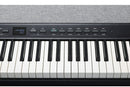 Kurzweil KA P1 Portable Digital Piano (Black) - 88 Keys