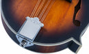 Mandoline Washburn M3SEBRK Americana Series (Bourbon Burst)