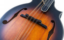 Mandoline Washburn M3SEBRK Americana Series (Bourbon Burst)