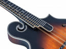 Mandoline Washburn M3SEBRK Americana Series (Bourbon Burst)