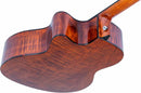 Guitare électro-acoustique Washburn WCG12FCE Comfort Series (Cognac Sunburst)