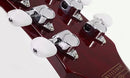 Guitare électrique Schecter ZACKY VENGEANCE CUSTOM REISSUE (See Thru Cherry with 6661 Graphic)