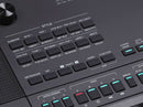 Medeli AK603 Arranger Keyboard - 61 Keys