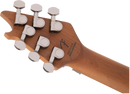 Guitare électrique EVH WOLFGANG WG STANDARD QM (Northern Lights)