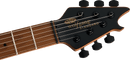 Guitare électrique EVH WOLFGANG WG STANDARD TOM (noir brillant)