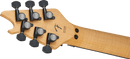 EVH WOLFGANG SPECIAL Electric Guitar (Stealth Black)